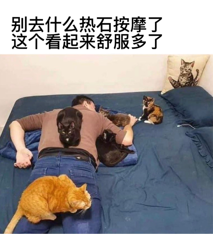 热猫按摩#今日memes# //#我的幽默搭子# //#定格# ​​​