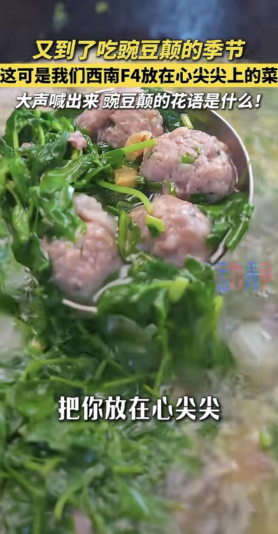 又到了吃豌豆颠的季节啦！这可是我们西南F4（云贵川渝）人心尖尖上的美味。

涮火