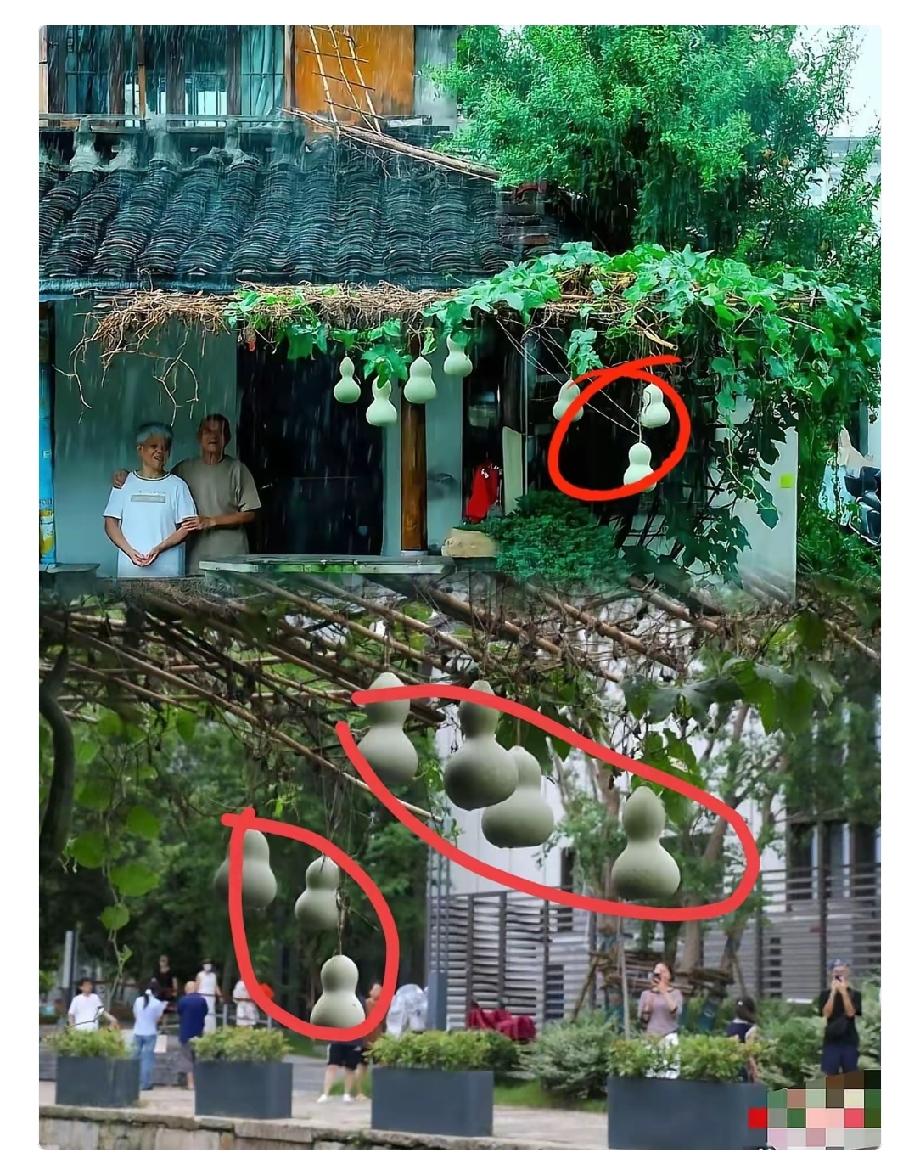 葫芦爷爷这波操作
背后是有高人指点了
先把葫芦剪下来，然后再挂上去，这波操作热度