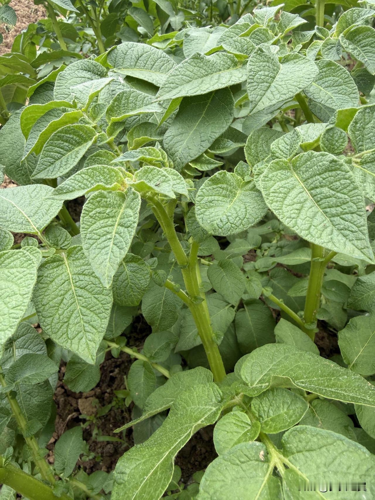 【小对联】
上：片尾；
下：……？