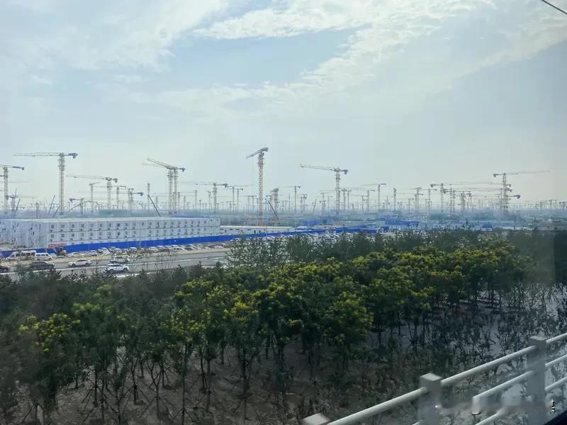 七绝  新韵 雄安一日游（七）雄安高铁
文/李灵秀

核心枢纽未来城，高速条条网