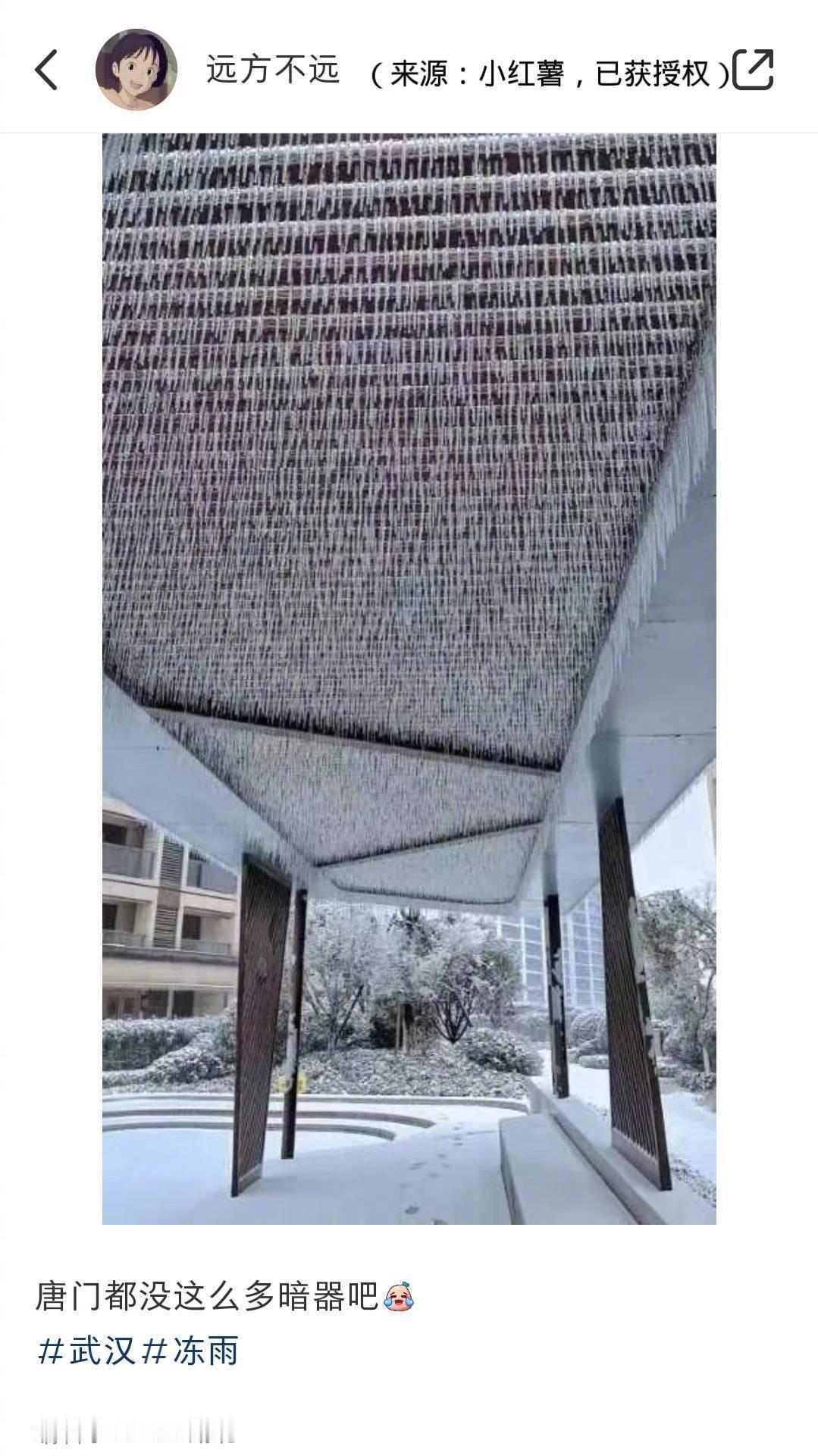 暴雪梨花针 ​​​