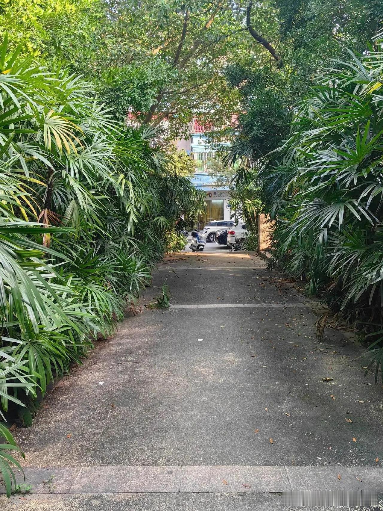 🌿东涌公园｜都市绿肺里的治愈系玩法

周末想逃离人潮？这个藏在市中心的宝藏公园
