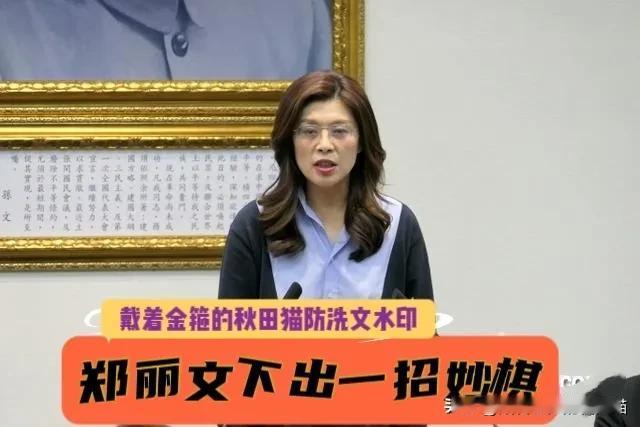 郑丽文这步棋太妙了！重建黄复兴补足蓝营最大短板，这支铁杆部队将成为她最坚强的后盾