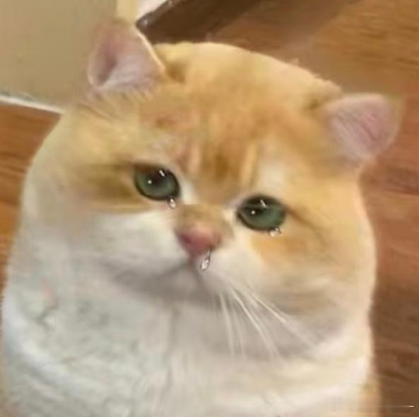 洋是不是给我下药了😣 