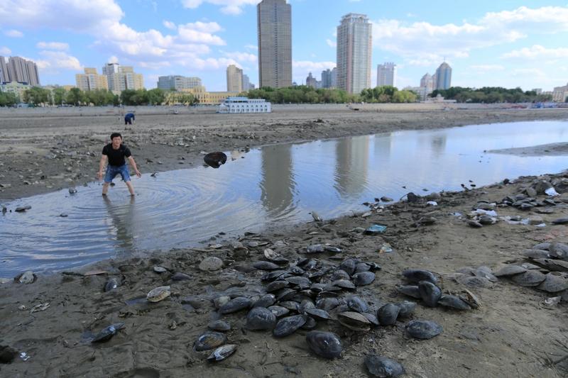 专家说市场出现企稳信号，还挺有道理。就像关注夏夏的师兄提到的，11月24日恐慌砸