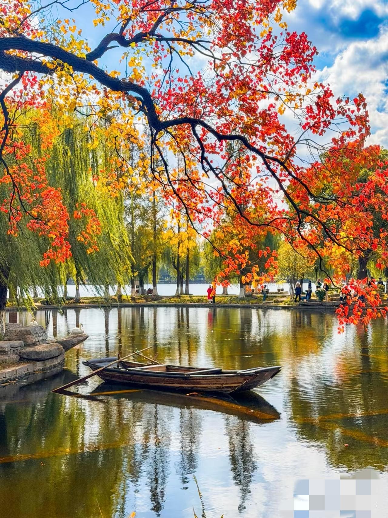 秋天真的太美了！无需任何修饰，大自然拼凑的色调，直击心灵的震撼美！