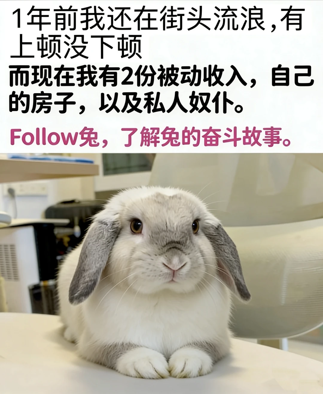 let‘s显化！保持六位数兔条进账
