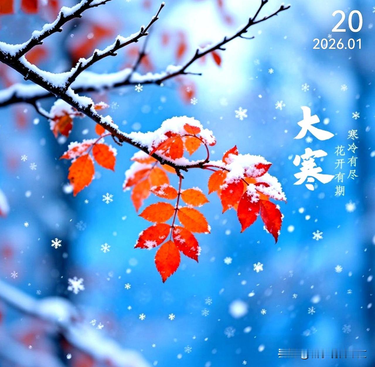 今日大寒
大寒至，年味浓，
围炉煮茶盼团圆。
愿所爱皆安，
所求皆如愿。