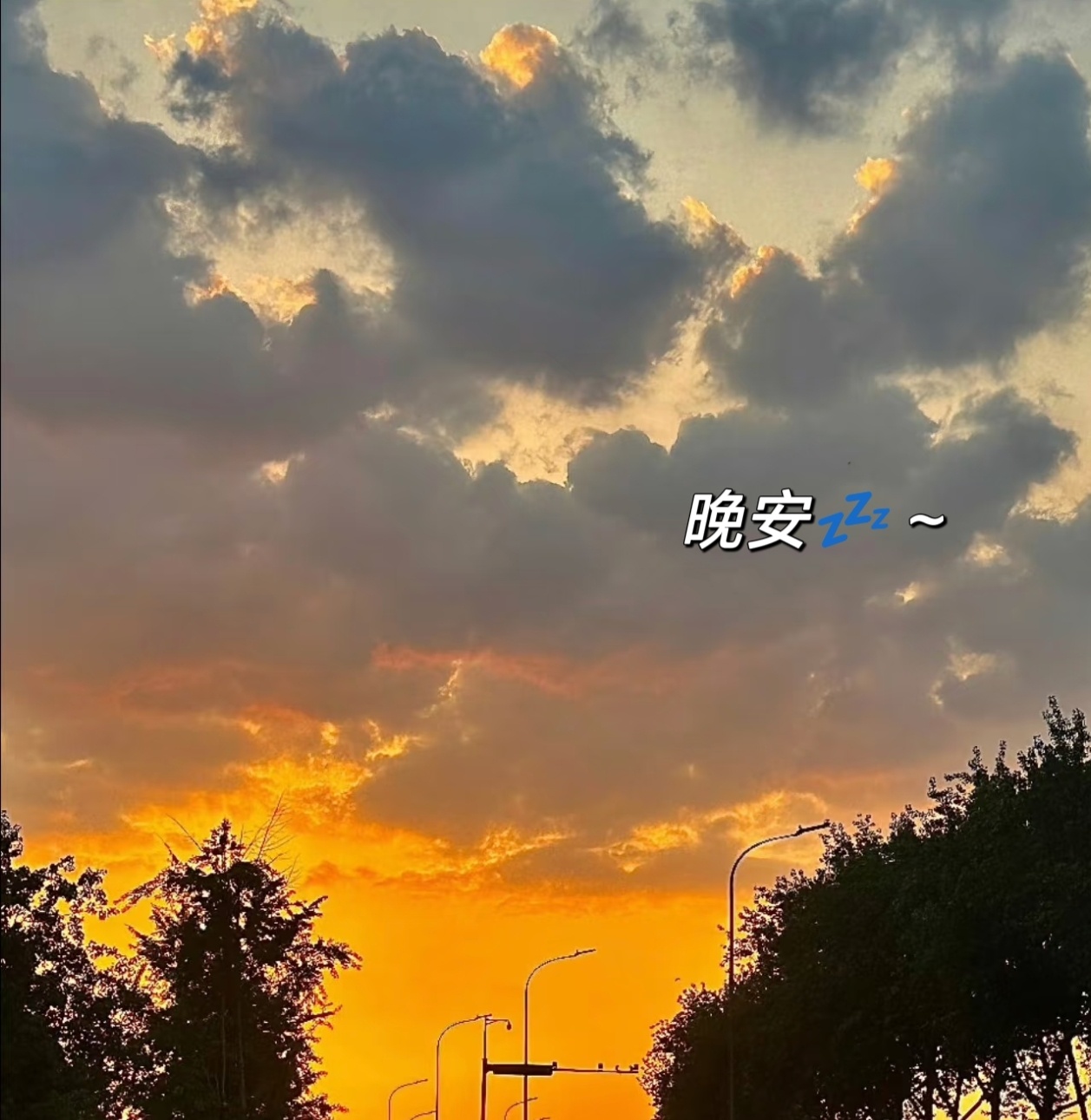 晚安好梦，人生没有白走的路，每一步都算数，好的坏的都是经历，得与失都是成长。 