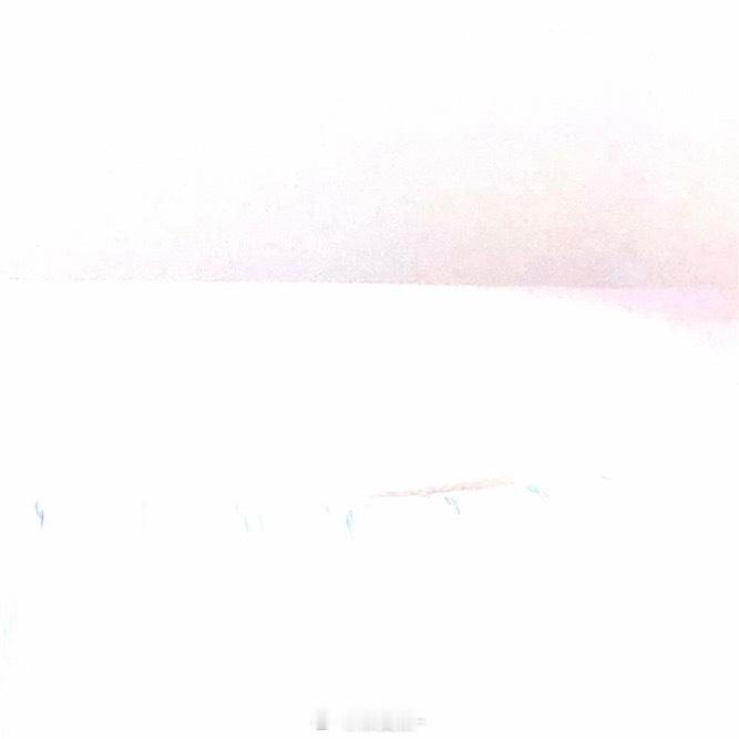 阳光信用✨互动打卡 潮间带的海葵随潮起潮落舒展触须，涨潮时拥抱浪花，退潮时拥抱阳