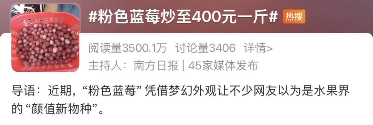 “粉色蓝莓400元一斤”冲上热搜 真相来了→