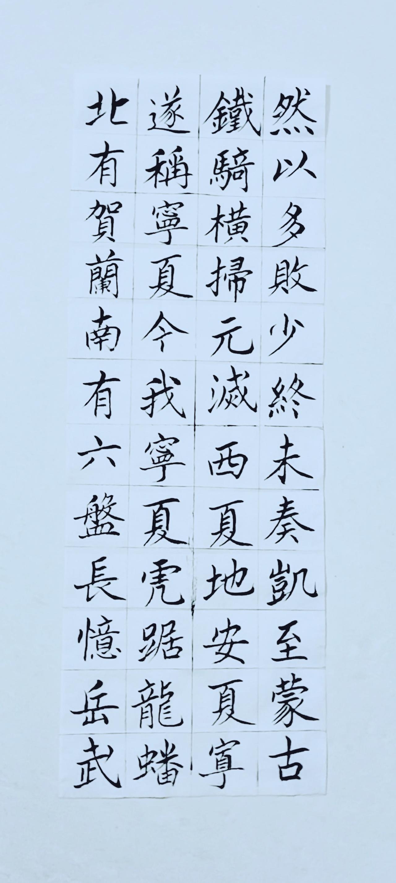 第八十二天《宁夏赋》（5）正楷毛笔练习