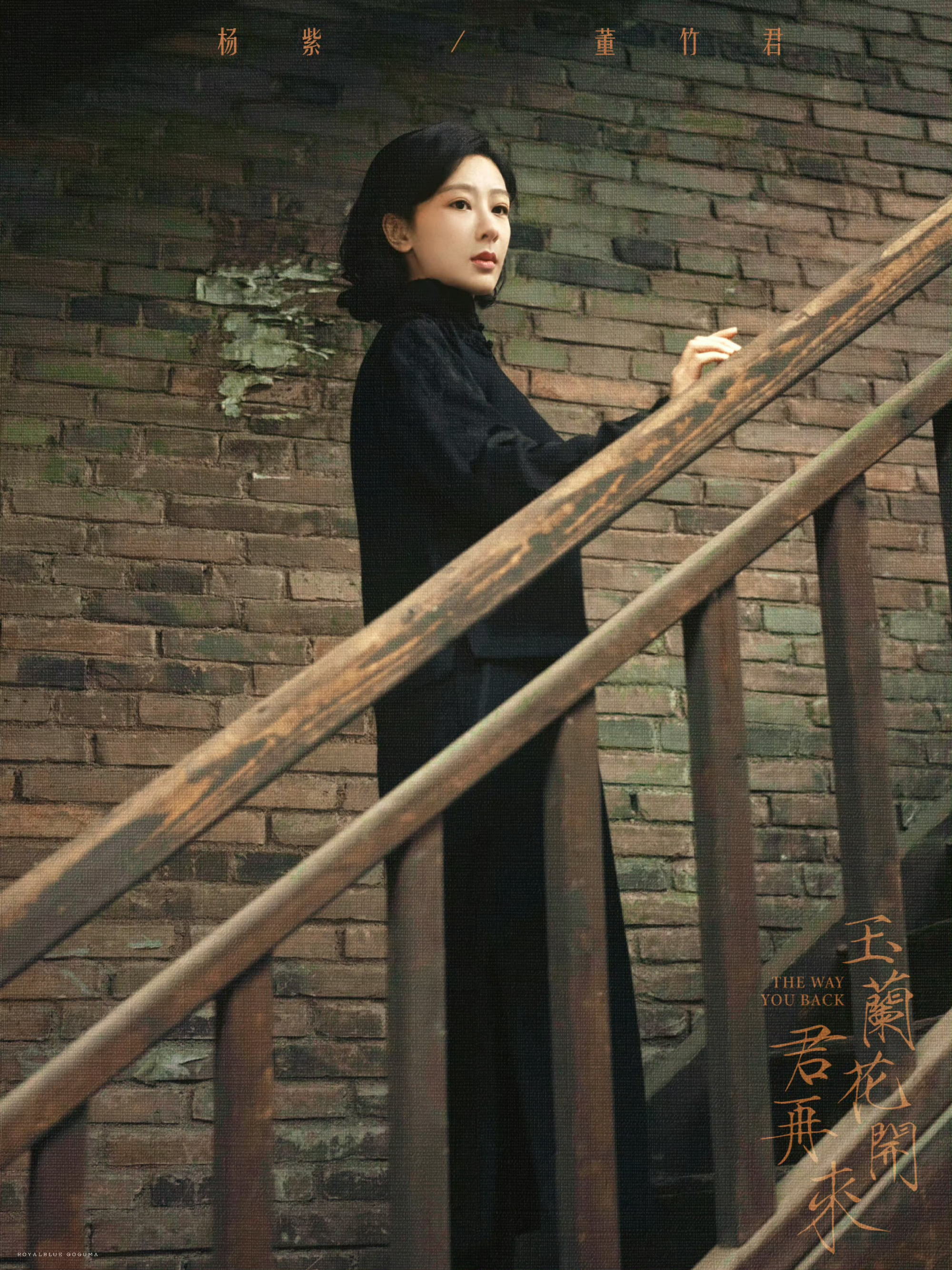 杨紫董竹君 yz杨紫玉兰花开君再来 yz杨紫 从长三楼的琵琶声里走来，到锦江饭店
