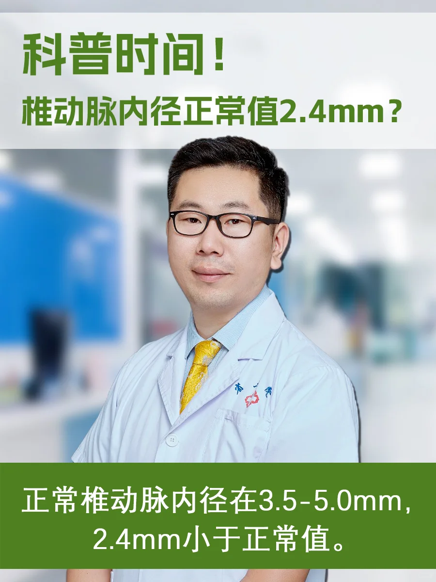 椎动脉内径正常值2.4