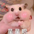 钱六侃侃汽车