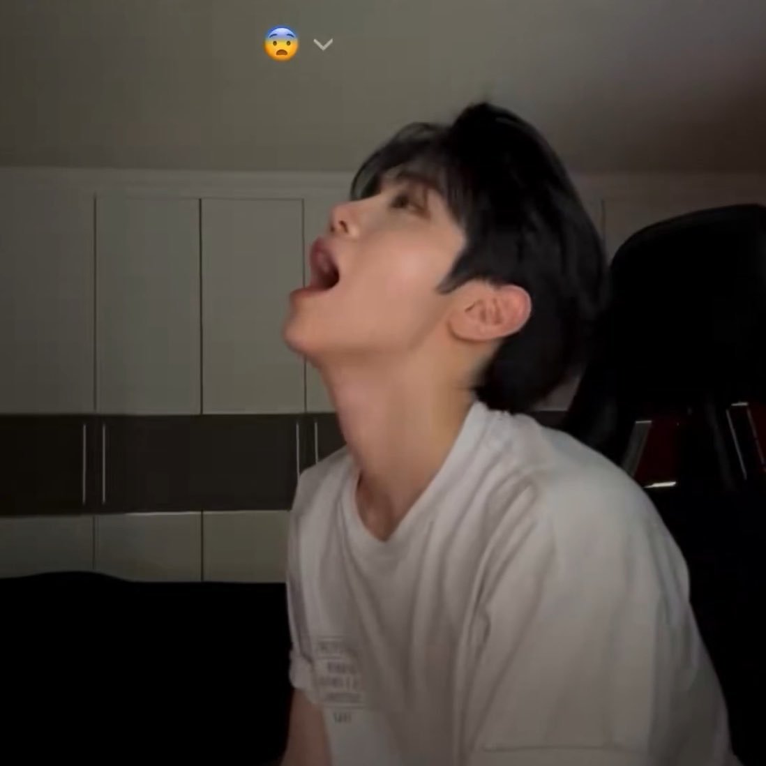 【🦆】 