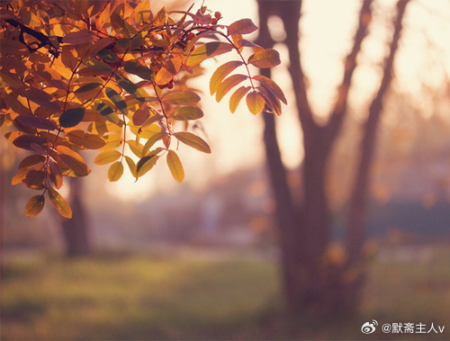 与己书·默斋主人原创自由体哲理组诗对己书静坐之时，俯身临深井，观水中倒影，搅动水