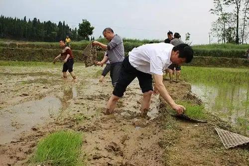 农民不旅游的原因是什么