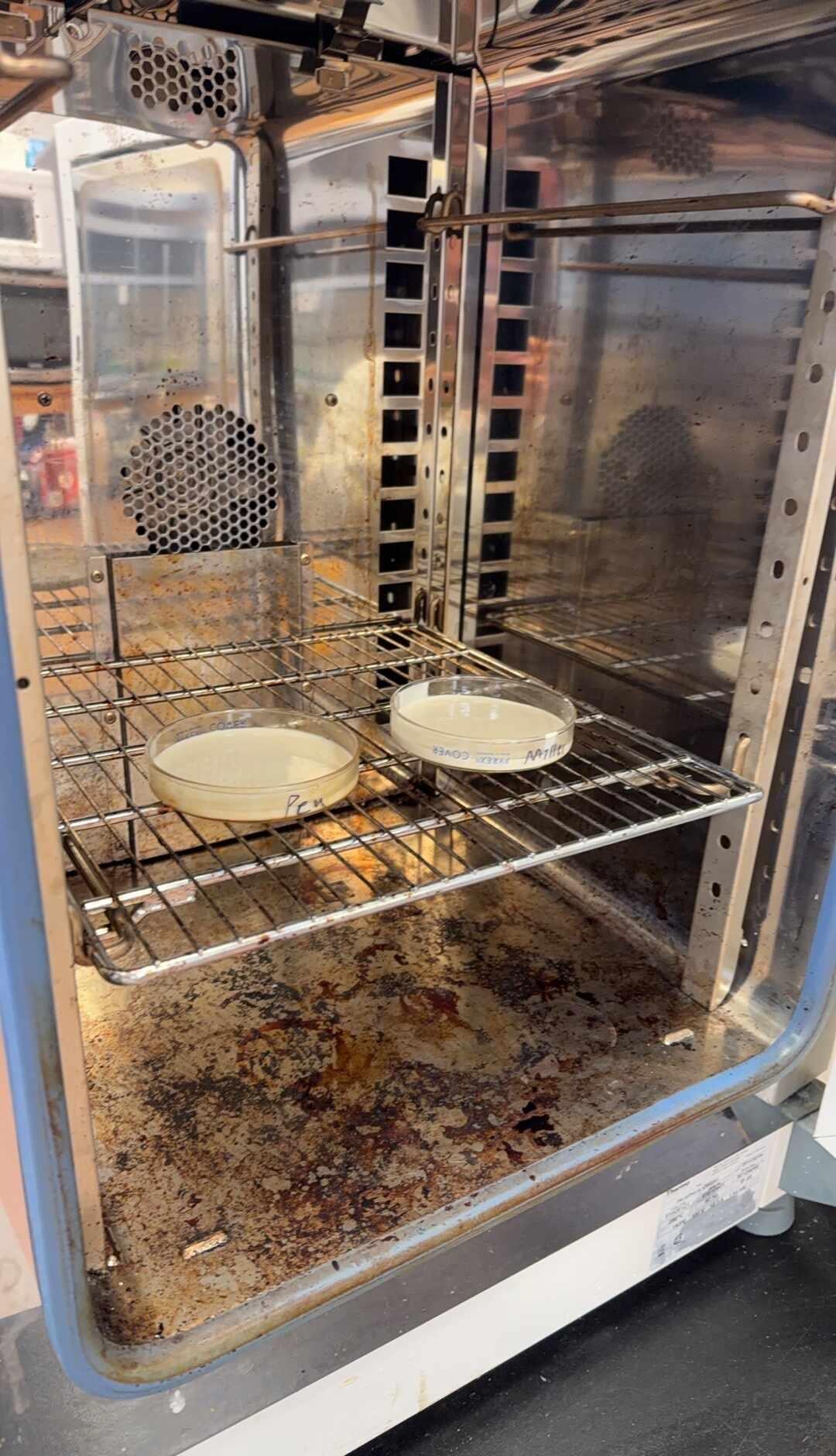 求助油凝胶制备方法！
目前正在用乳液模板做油凝胶，但是会吸出来油，感觉做出来怪怪