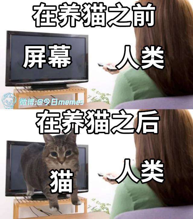 加音量（9gag）今日meme今日memes