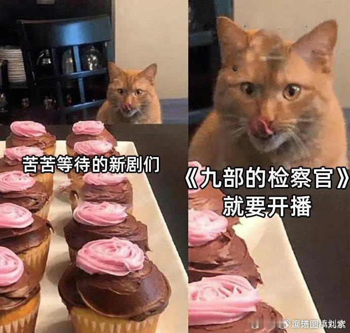 #九部的检察官好看##九部的检察官好看吗# 我就说没看《九部的检察官》的可是吃大