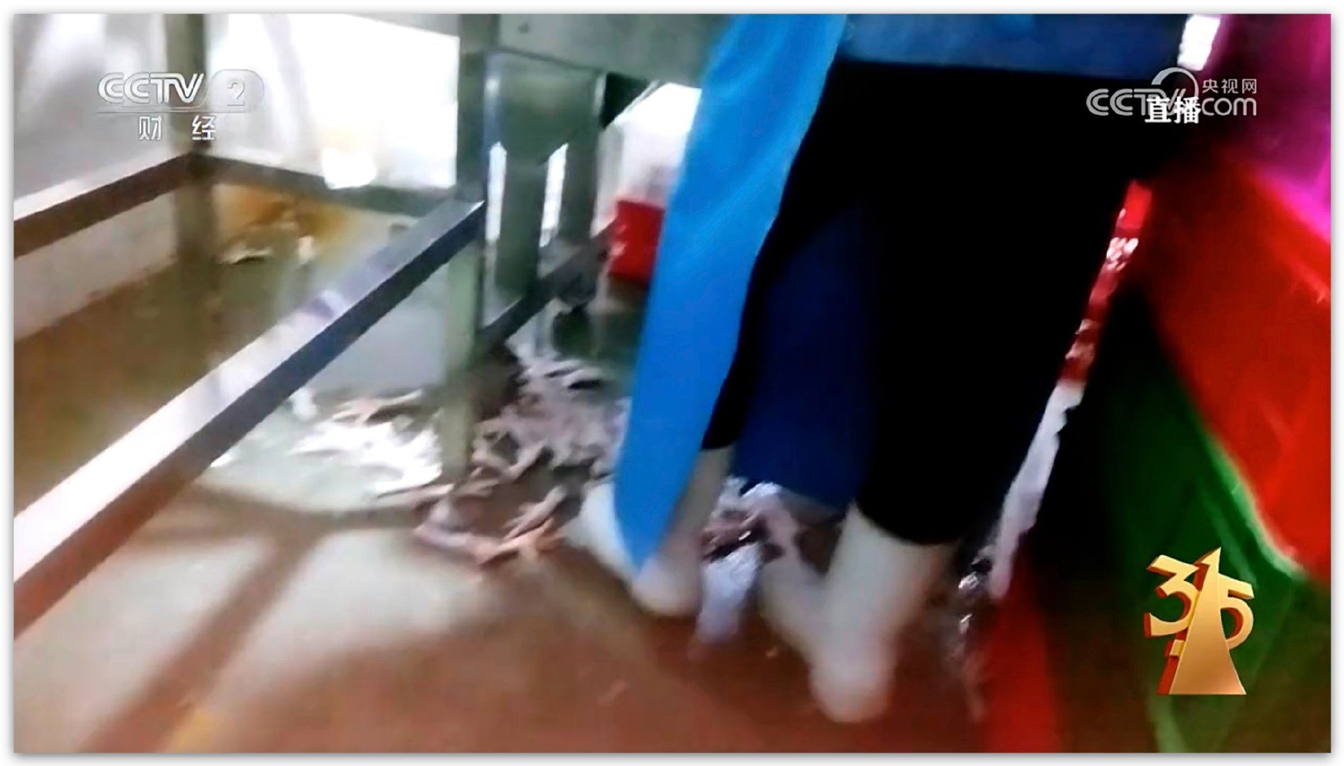 315晚会啊这！这是你们爱吃的泡椒鸡爪？？