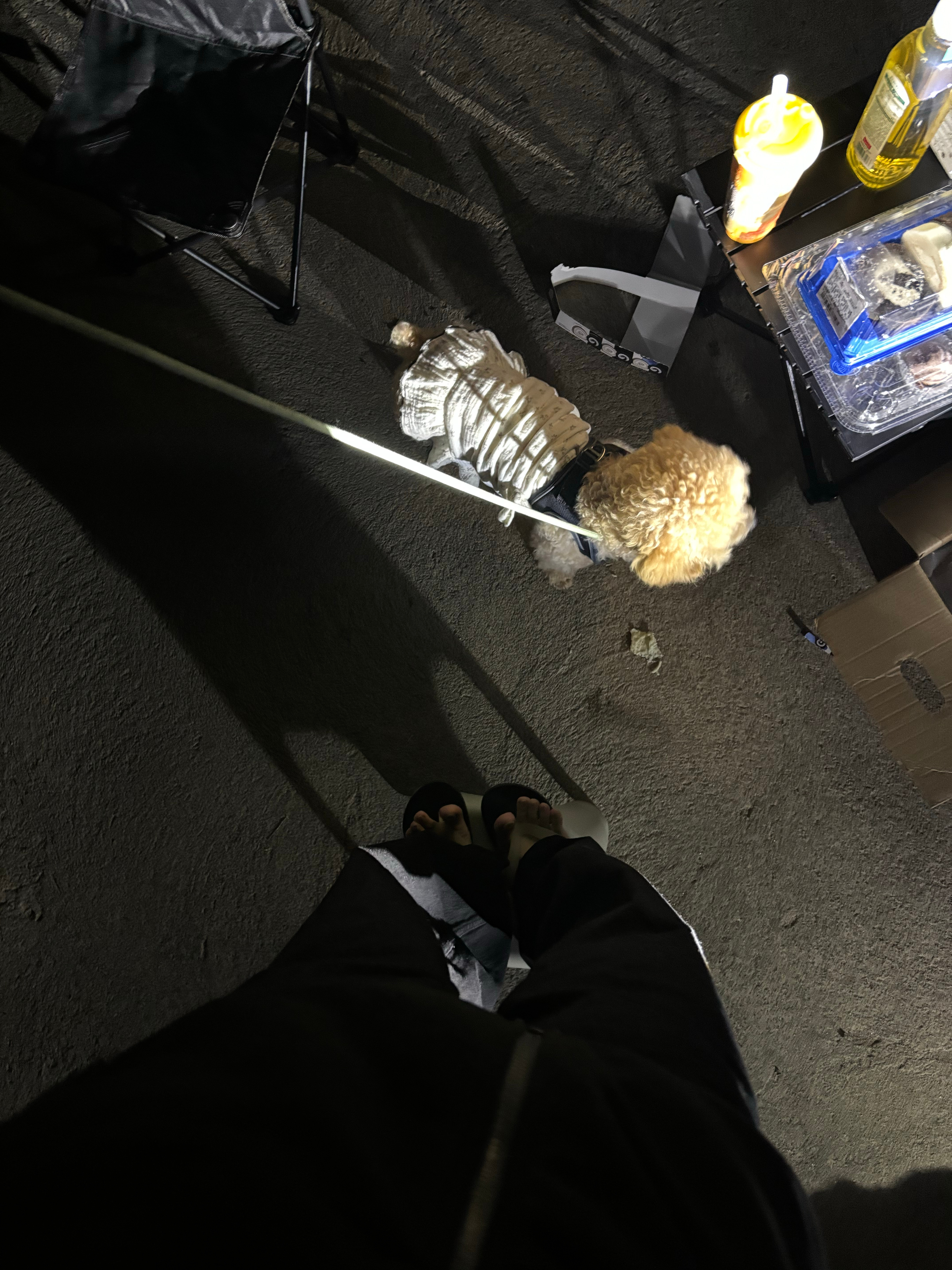 救命 有老鼠 吓的我站板凳上不敢下来 