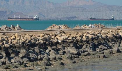 真的是讽刺，曾经被纳粹迫害的犹太人现在正在演变成新的纳粹，而且这个观点不是其他人