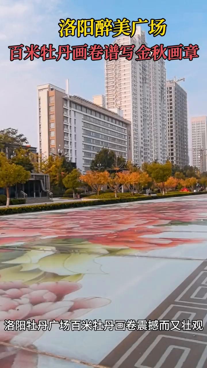 洛阳醉美广场百米牡丹画卷谱写金秋画章。
洛阳牡丹广场百米牡丹画卷震撼而又壮观。