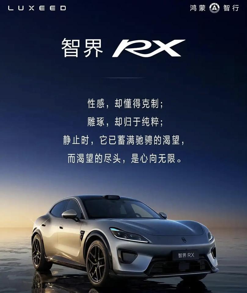 智界RX挺好看的，如果硬要挑缺点，那就是尾部，那两个银色装饰板（油车的排气孔位置