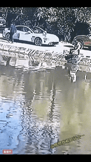 智能泊车变“智障”？一场“社死”背后的健康警示

诸位朋友，今儿咱们单说一桩让人