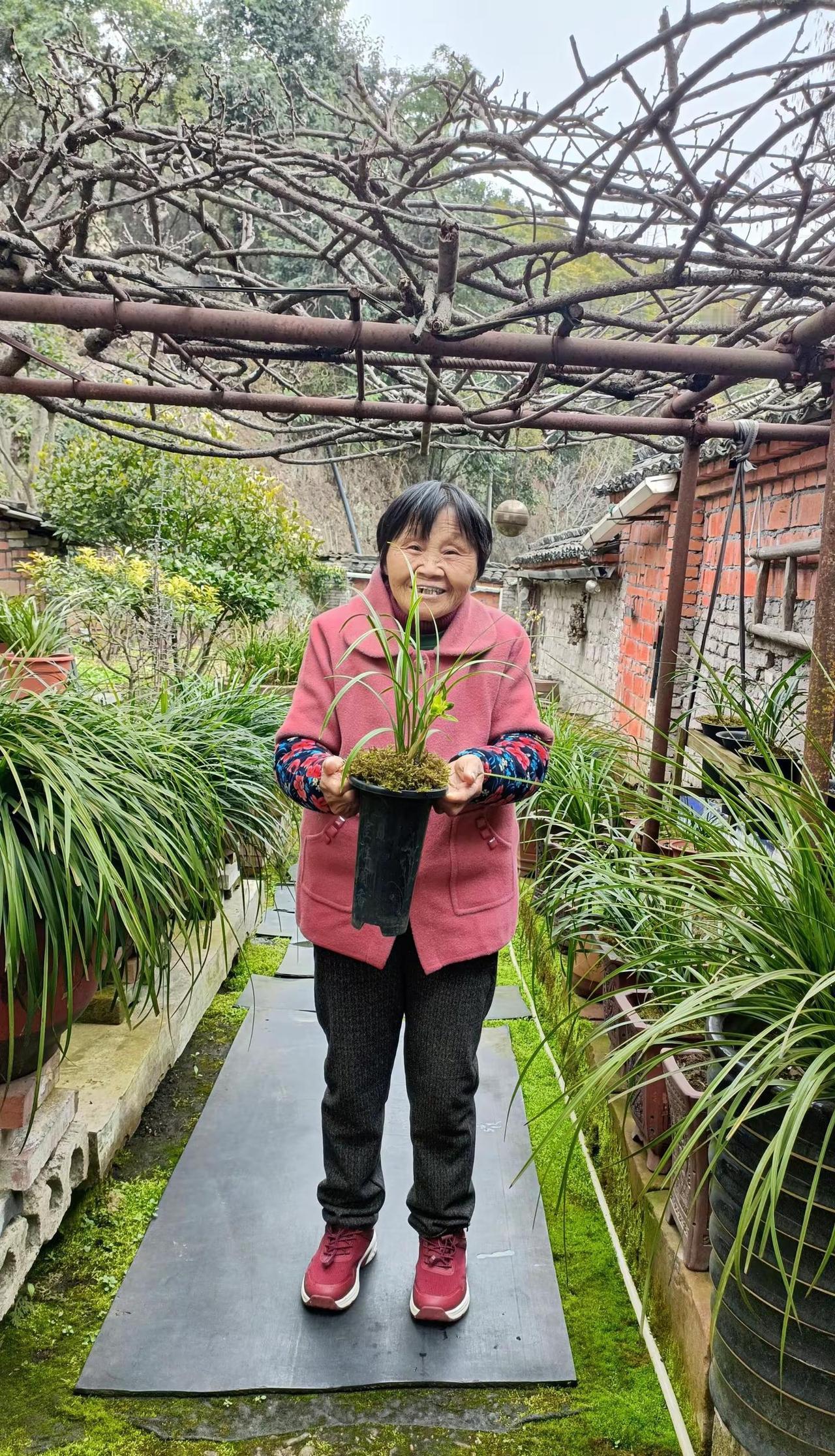 生活最好的状态就是人静，物简，心安。兰花随拍