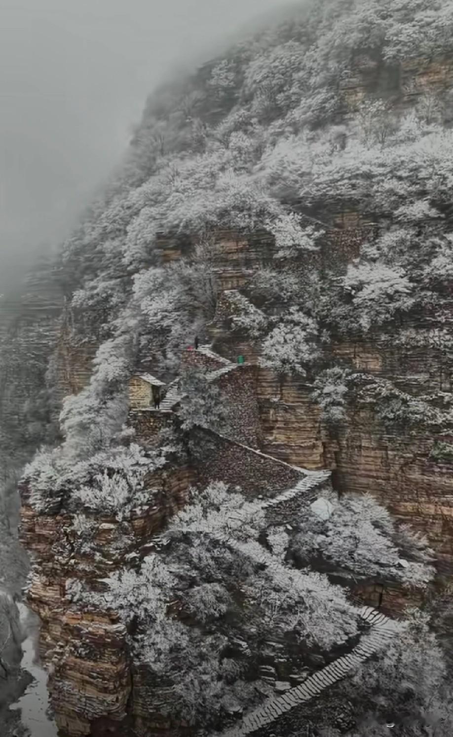 登上天梯路
看雪花堆满了山岭
真美[赞]
美景在山巅之上