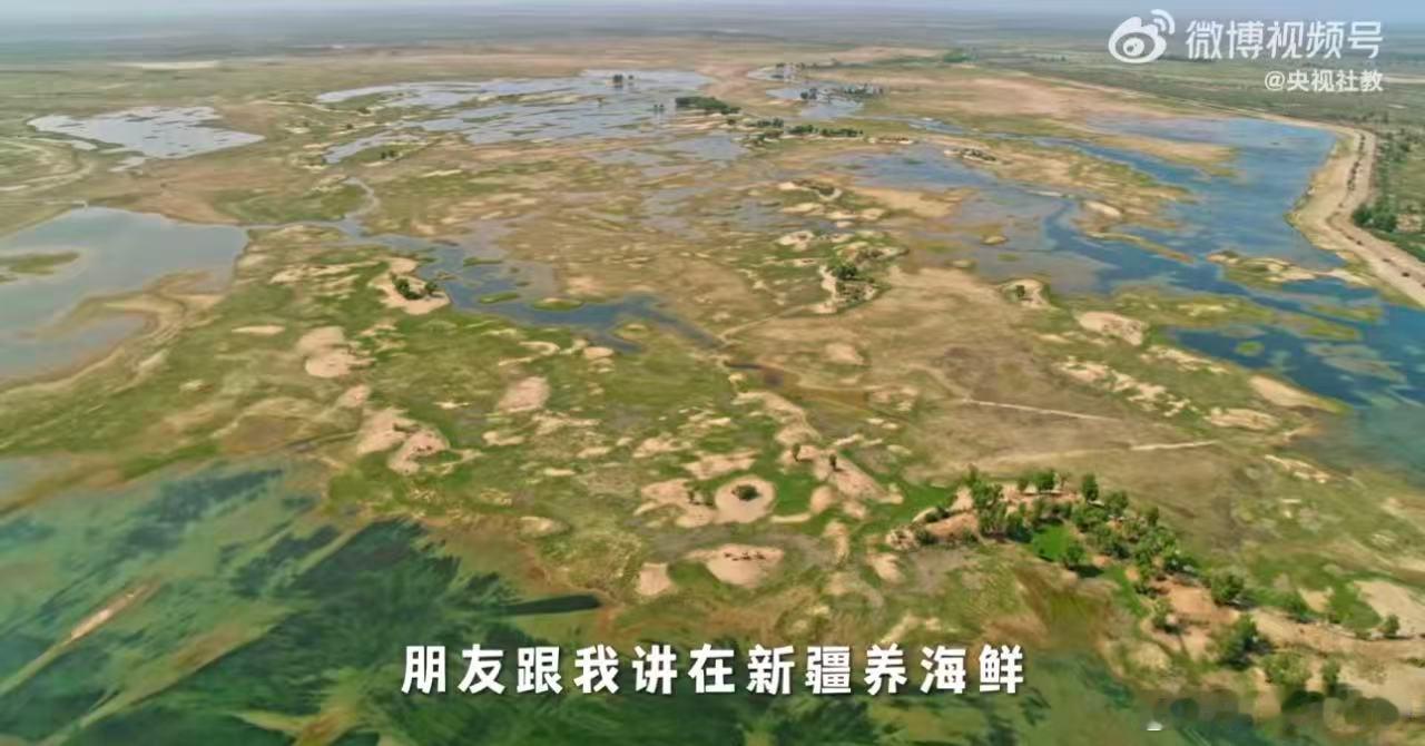新疆海鲜养成记奇迹中国真的太颠覆认知了！塔克拉玛干大沙漠离海足足2500多公里，