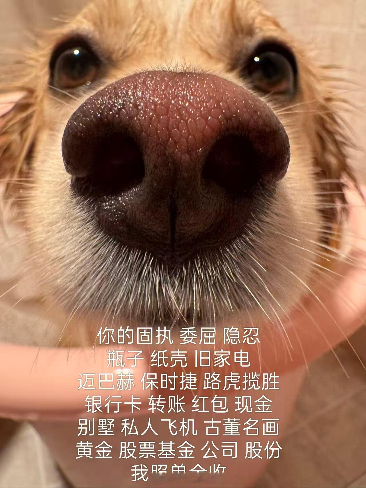 分享新鲜事 