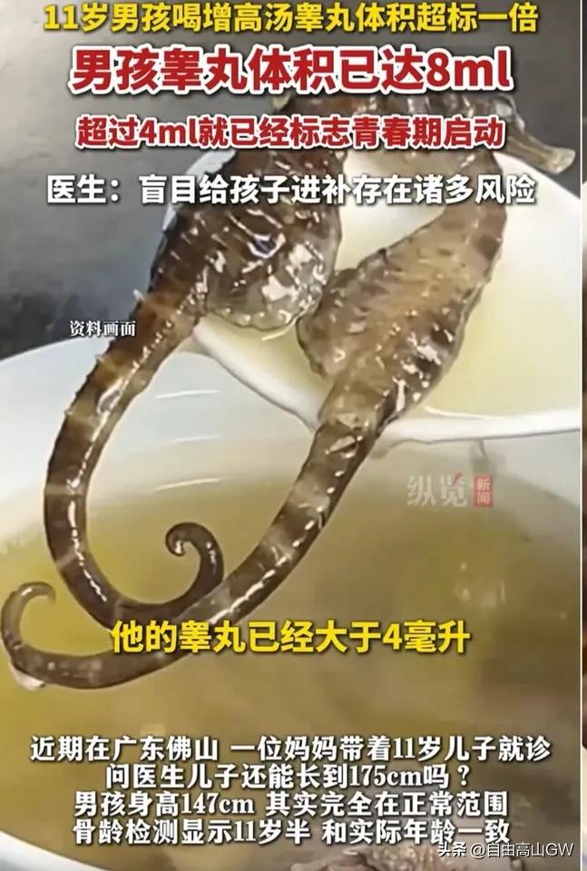 广东佛山的妈妈真的是为了儿子能长高，拼了！每天给11岁的儿子熬海马田七汤。结果呢