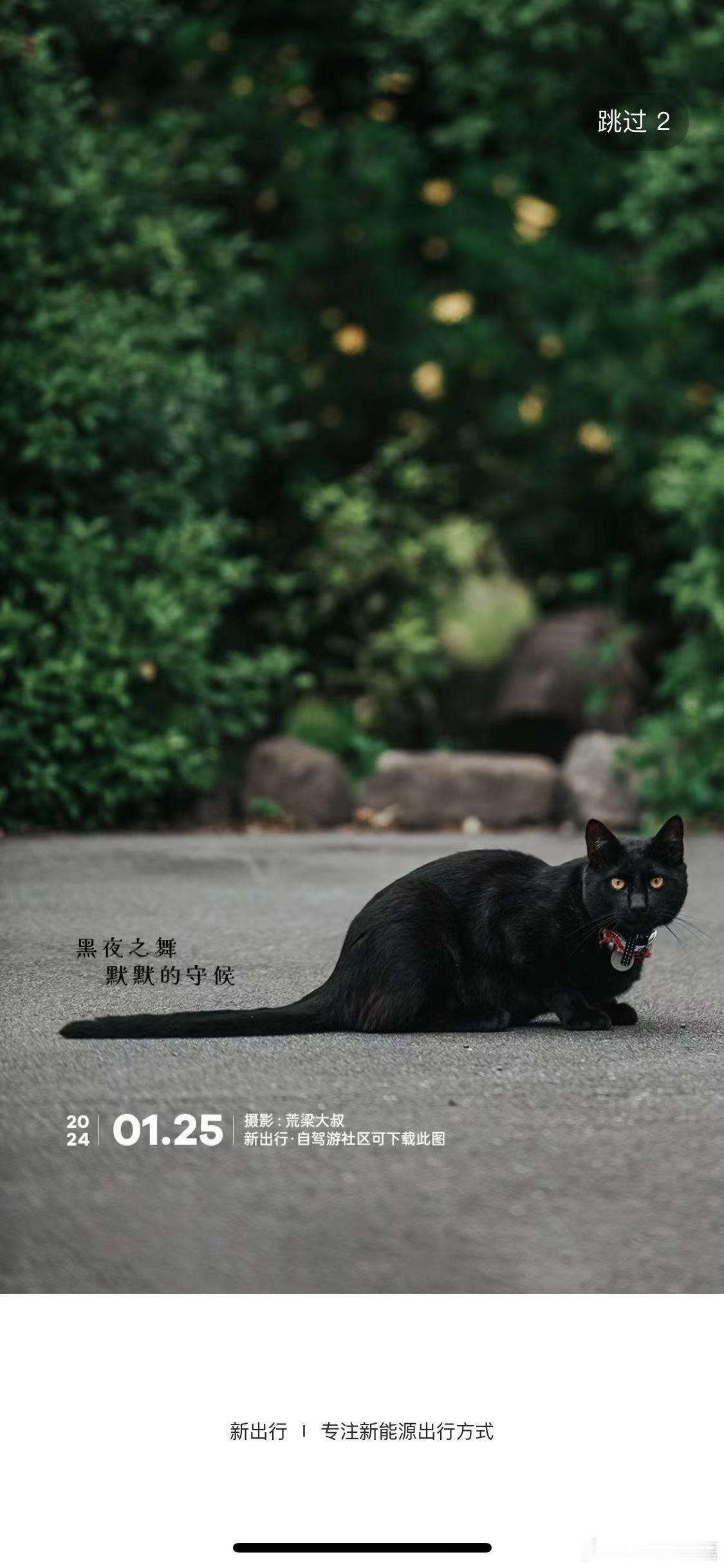 新出行App的开屏图一直由新出行设计部门从网友投稿中选择，每天更新，一年365天