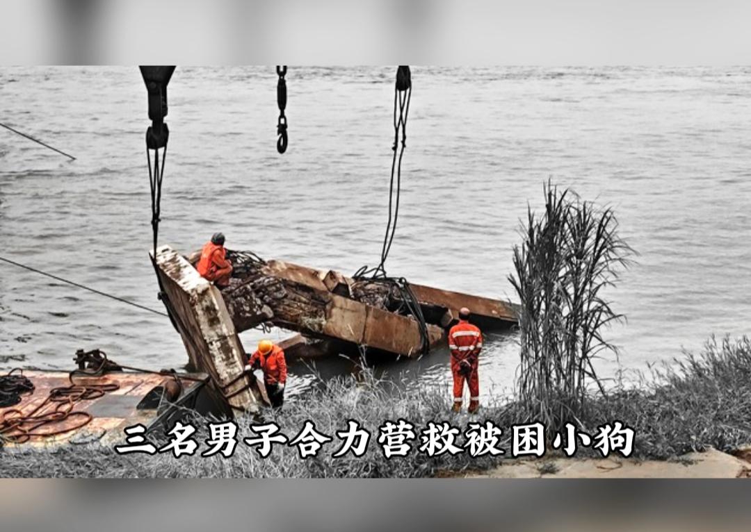 人间温情，最是打动人心。7月26日，江苏常熟，网友拍下一段暖心救援现场。
 
一