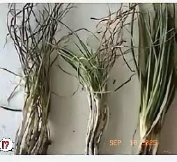 第一眼：有点脸红[害羞]
   
  第二眼：有点不对劲[酷拽]
    
  