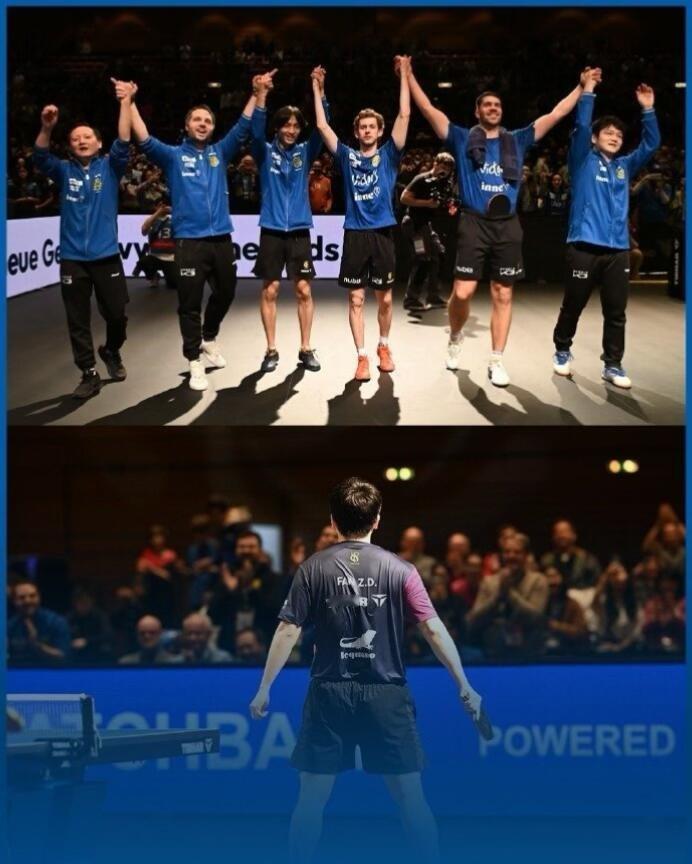 樊振东下赛季加盟杜塞尔多夫重磅转会：樊振东下赛季转会到杜塞尔多夫！有粉丝评论“ 