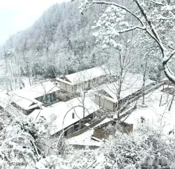 绵阳昨晚今晨降下大雪，平武县的白马、王朗、虎牙等地均有降雪。

22日清晨，大熊