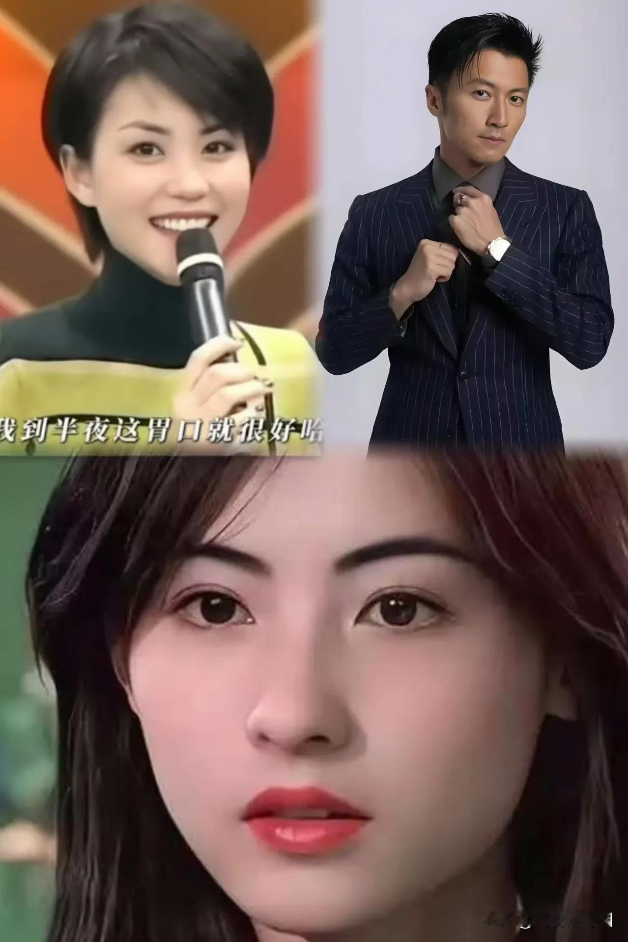 谢霆锋演唱会上含泪示爱王菲，
跨越25年的“锋菲恋”，
过去式的“锋芝恋”，
娱