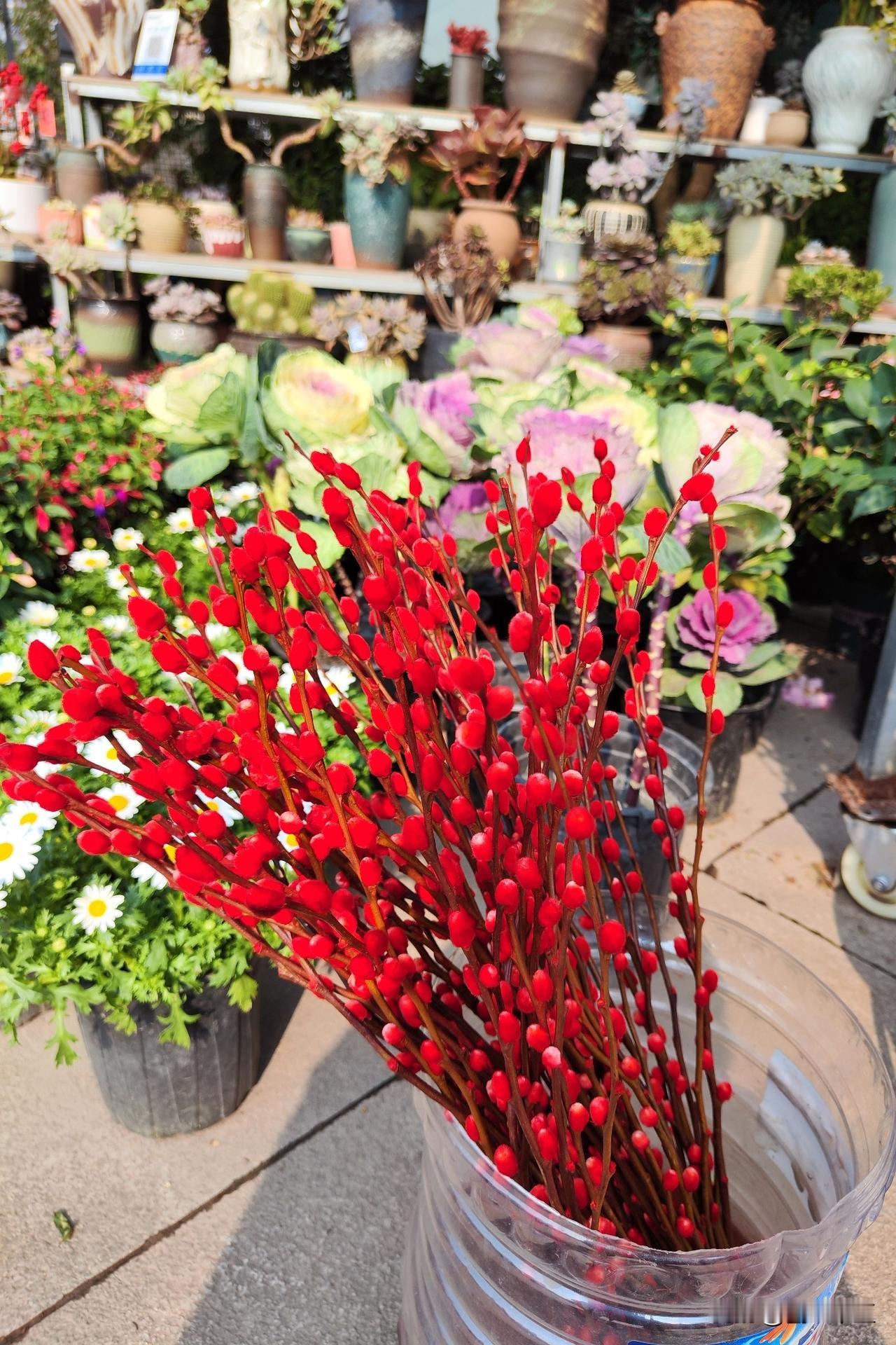 夫妻之间的内讧，其残酷程度往往超乎一般人的想象，有时竟能酿成如此令人痛心的悲剧。