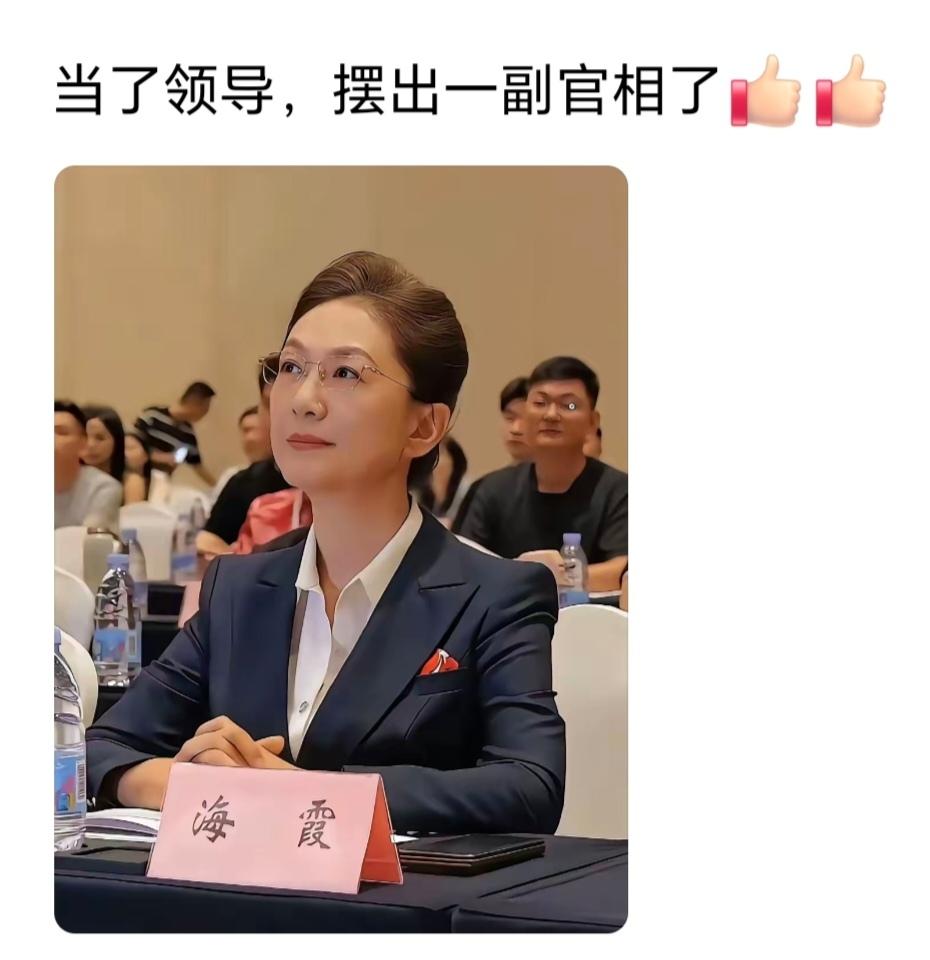 莫名其妙攻击别人不可取！
海霞的播音水平，
在央视绝对是顶流。
没几个人能比得上