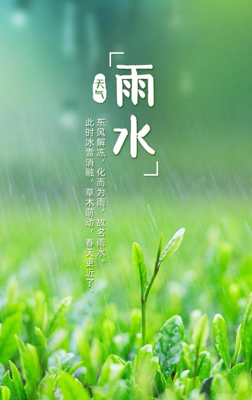 【 今日雨水  春天来了】 雨水  是二十四节气的第2个节气，进入雨水，虽然气候