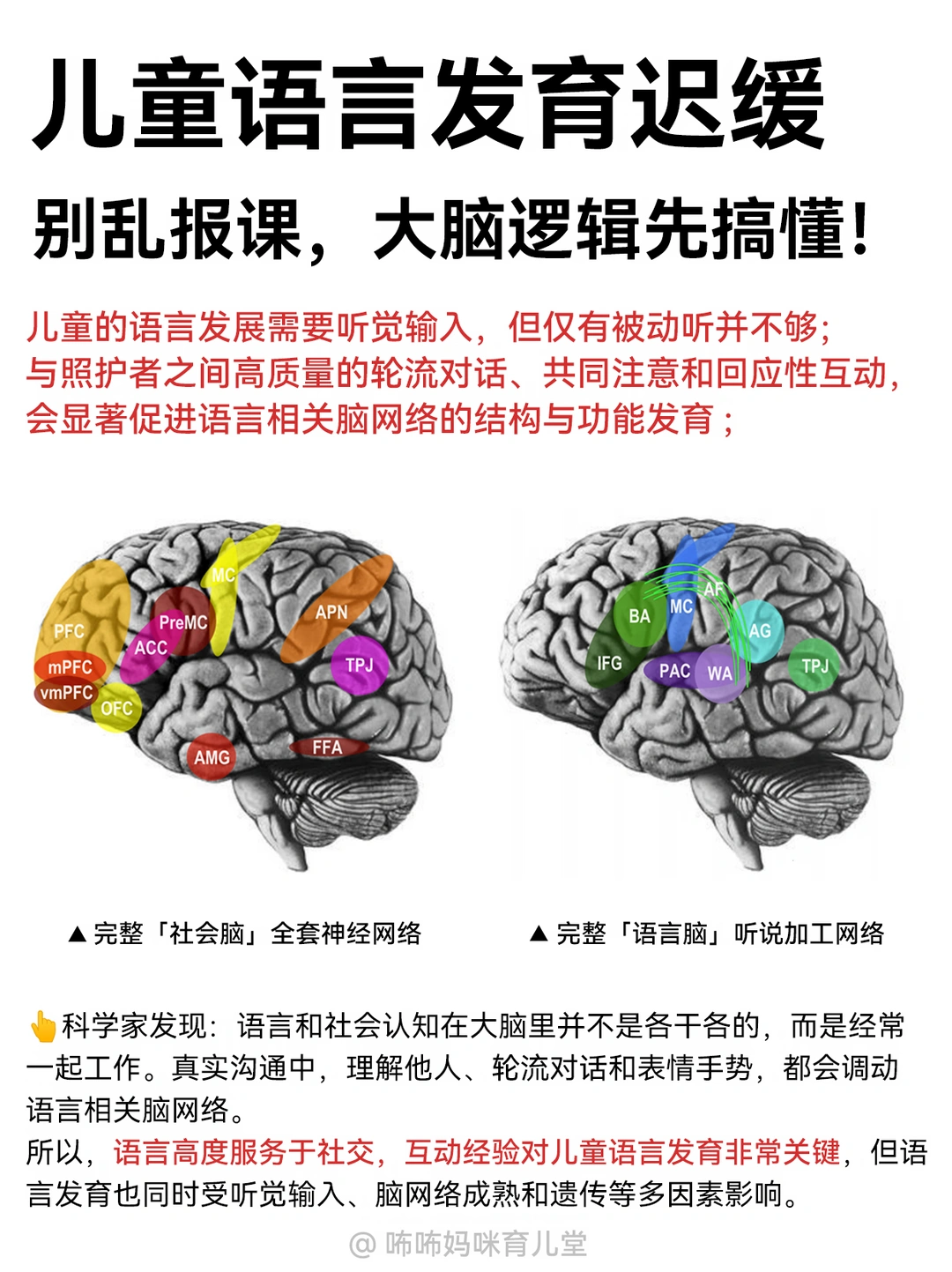 脑科学实锤：宝宝语言落后，乱报课会走弯路