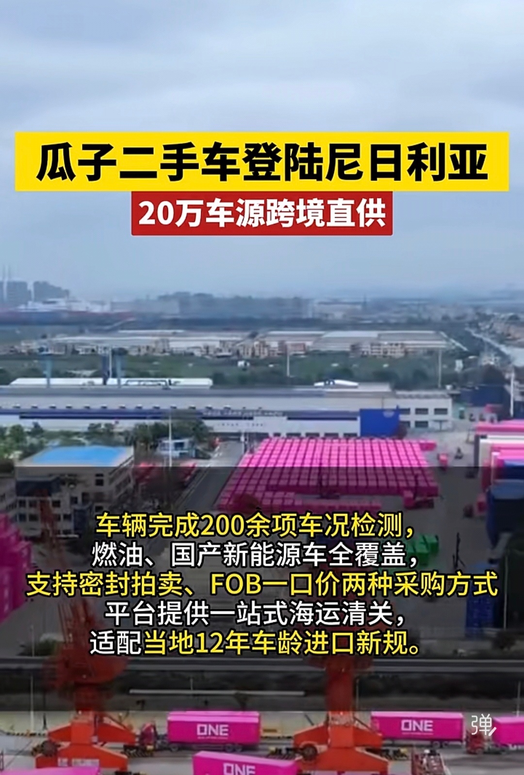 瓜子终于找到了自己的第二曲线… 
