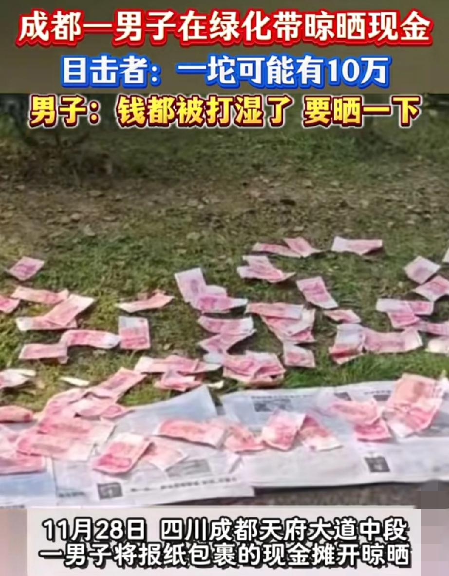 成都大哥绿化带晒10万现金的操作，简直把“安全感拉满”写在了明面上！

红彤彤的
