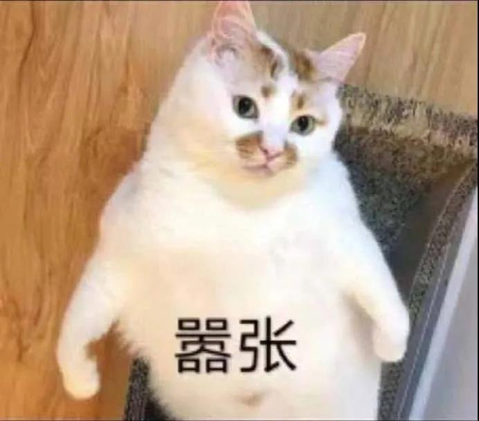丰富一下你的表情包库存 ​​​